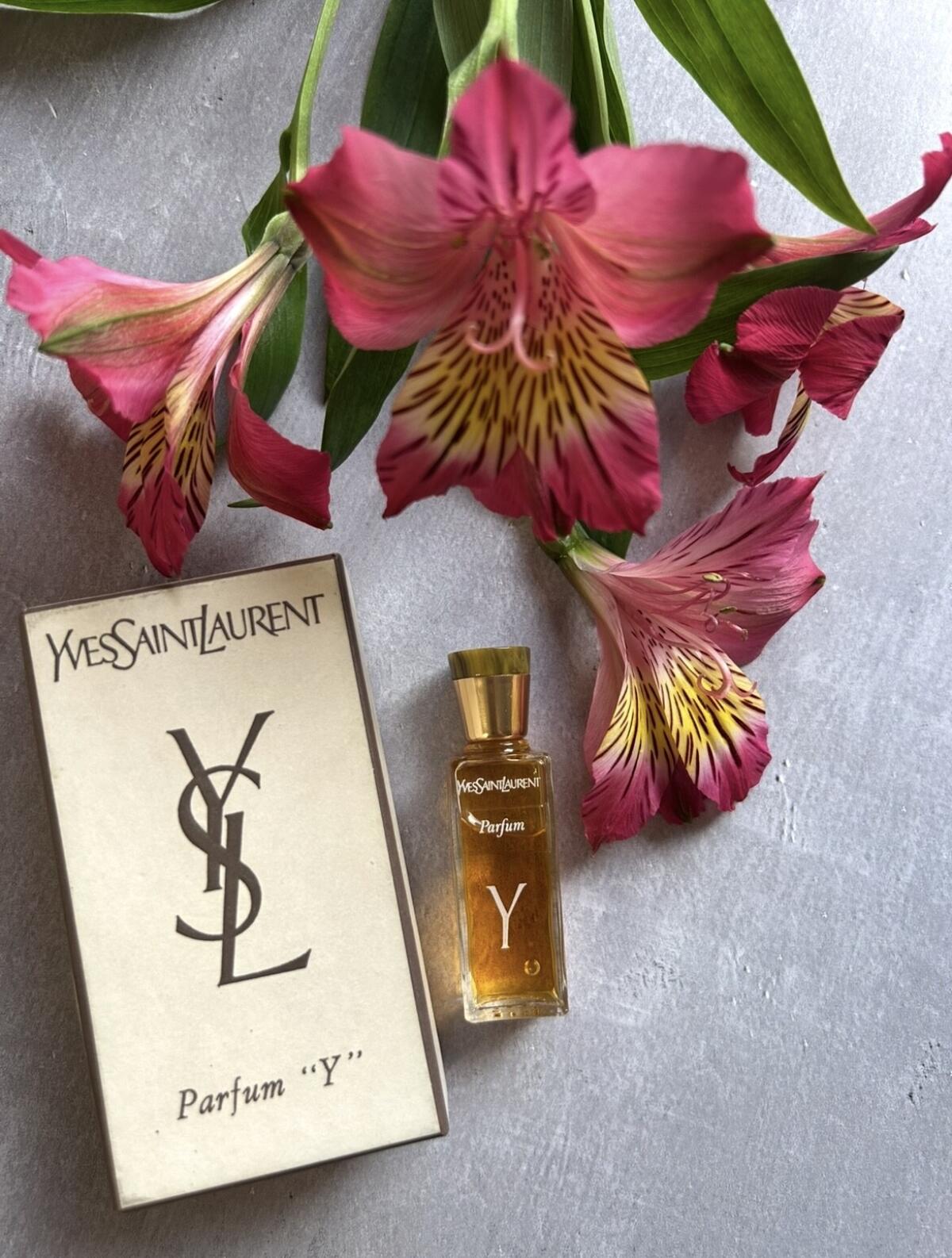 عطر ادکلن وای ایو سن لورن - Y Yves Saint Laurent - بررسی، قیمت و خرید