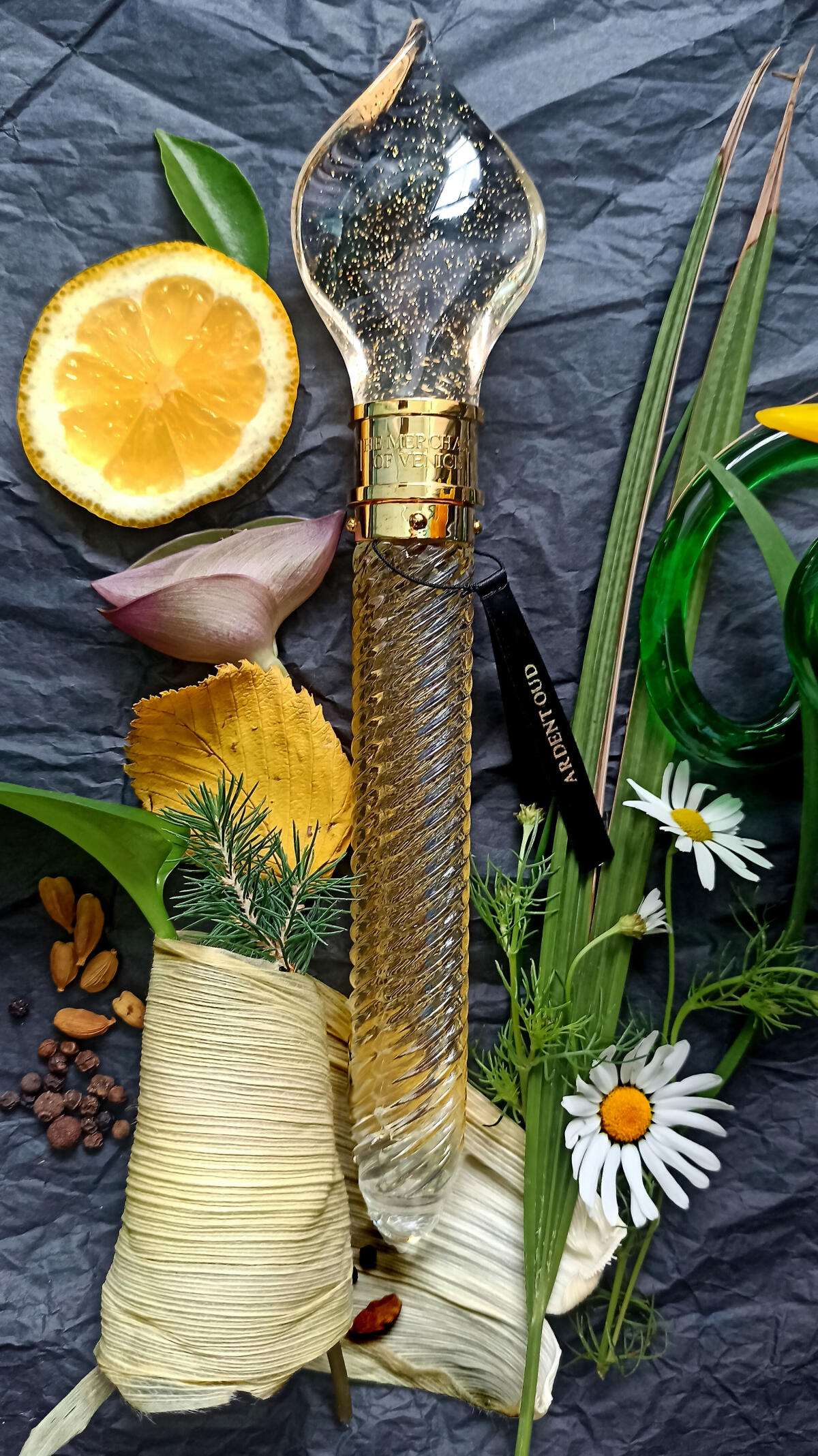 عطر ادکلن آردنت عود د مرچنت آو ونیس - Ardent Oud The Merchant of Venice - بررسی، قیمت و خرید