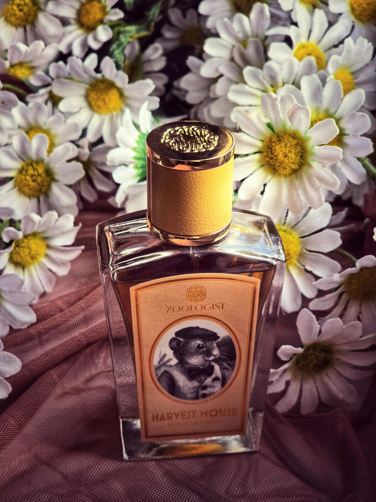 عطر ادکلن هاروست ماوس زولوجیست پرفیومز - Harvest Mouse Zoologist Perfumes - بررسی، قیمت و خرید