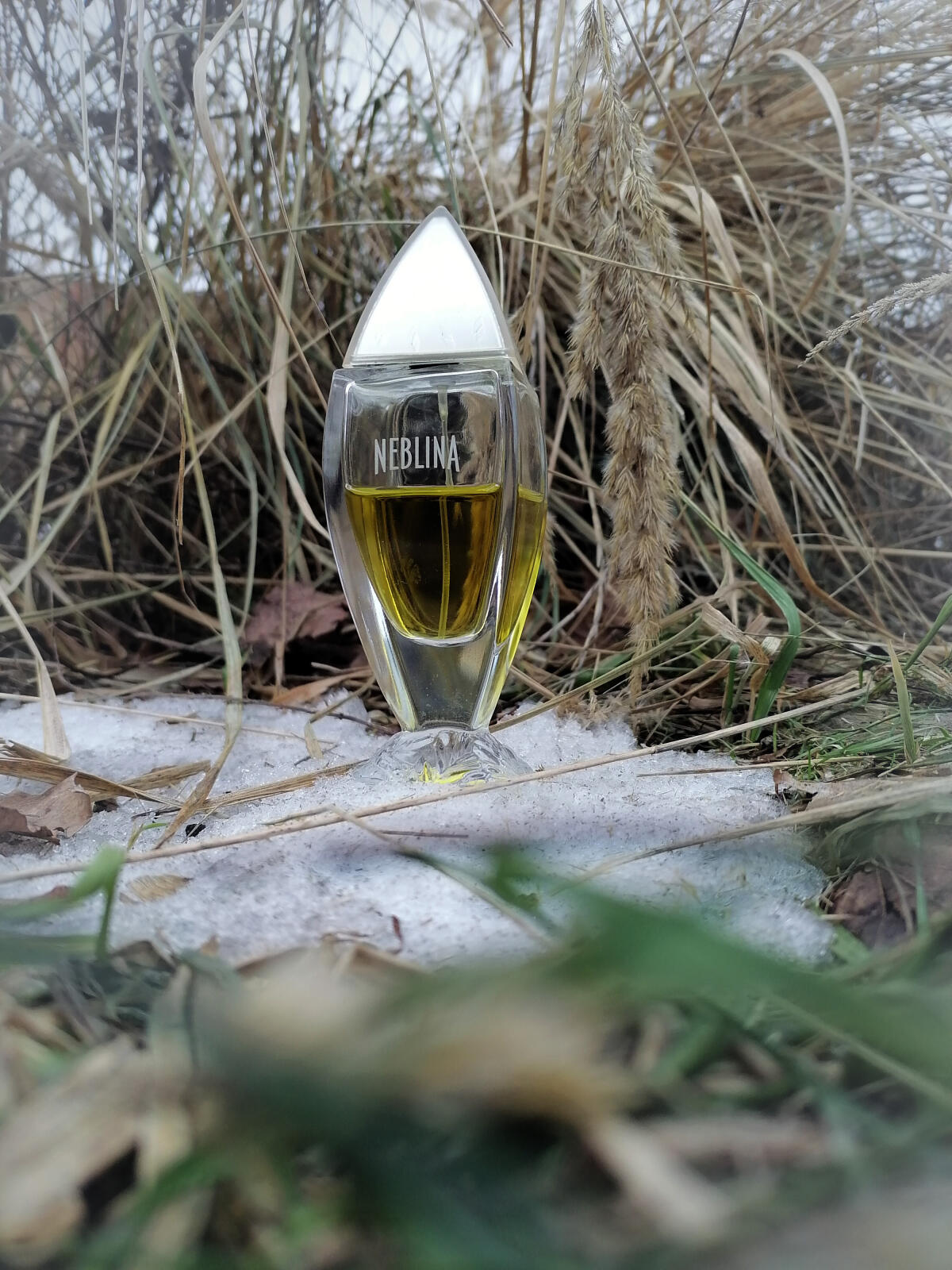 عطر ادکلن نبلینا ایو روشه - Neblina Yves Rocher - بررسی، قیمت و خرید