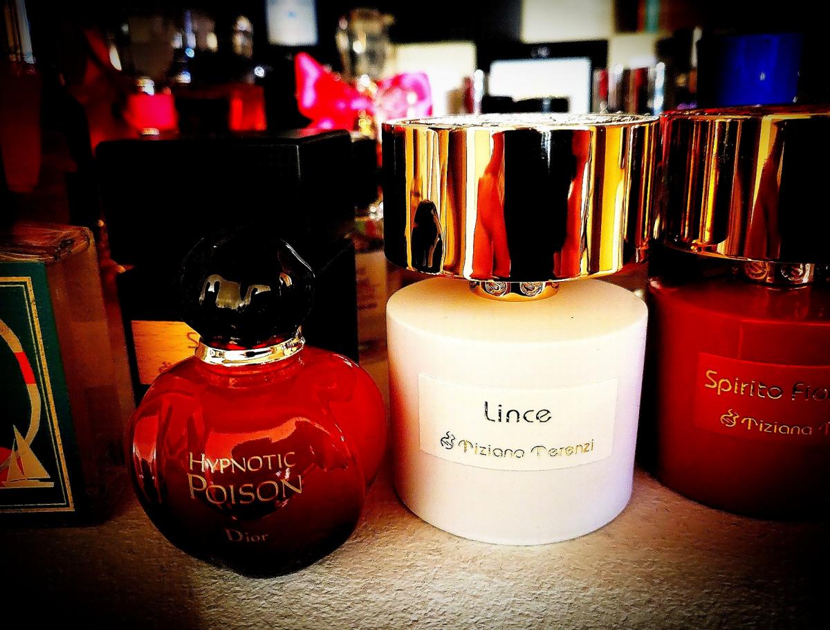 عطر ادکلن لینس تیزیانا ترنزی - Lince Tiziana Terenzi - بررسی، قیمت و خرید