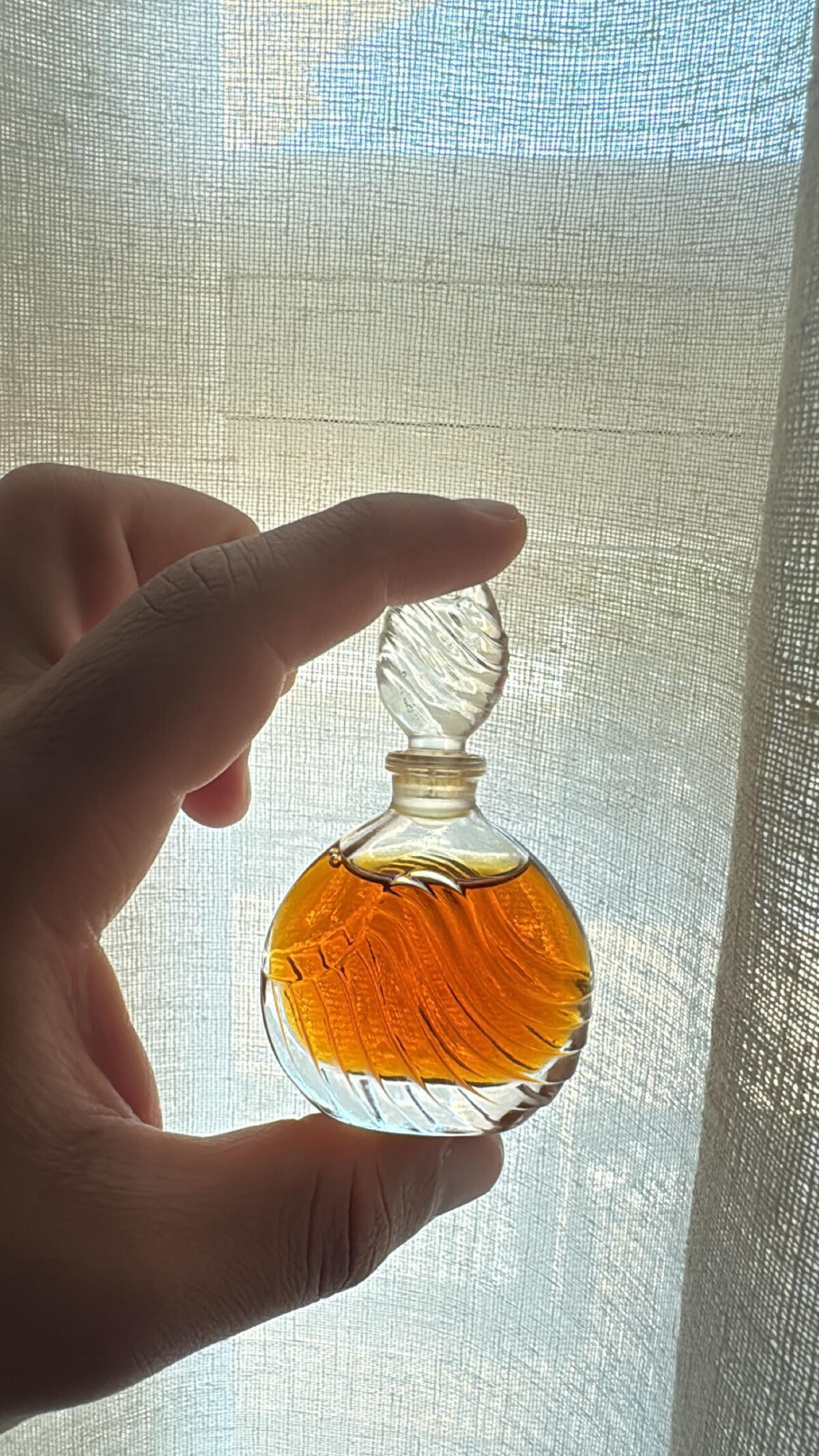 عطر ادکلن کریشِن 1984 تد لاپیدوس - Creation 1984 Ted Lapidus - بررسی، قیمت و خرید