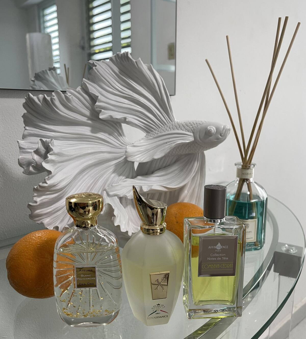 عطر ادکلن ایکس جی ۱۸۶۱ رنسانس زرژاف - XJ 1861 Renaissance Xerjoff - بررسی، قیمت و خرید