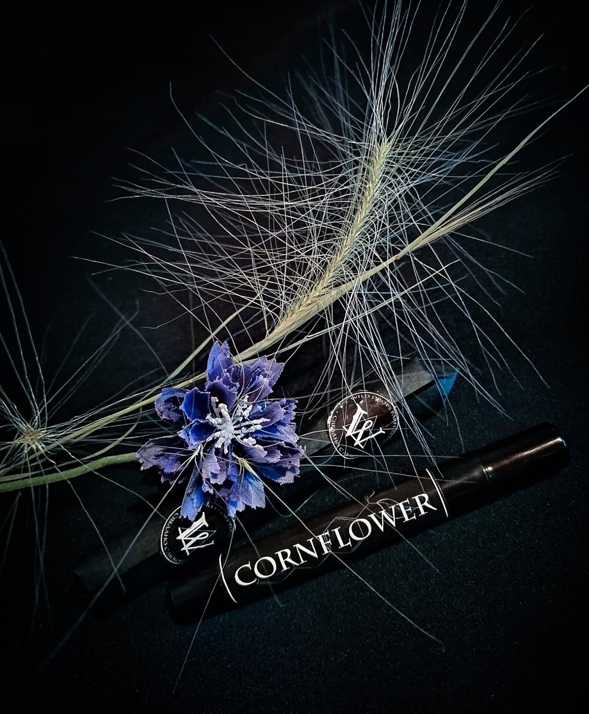 عطر ادکلن کُرن‌فلاور وایلد دراپز پارفومز - Cornflower Wild Drops Parfums - بررسی، قیمت و خرید
