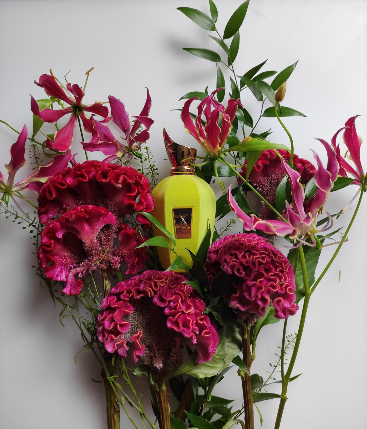 عطر ادکلن امابیل زرجوف - Amabile Xerjoff - بررسی، قیمت و خرید