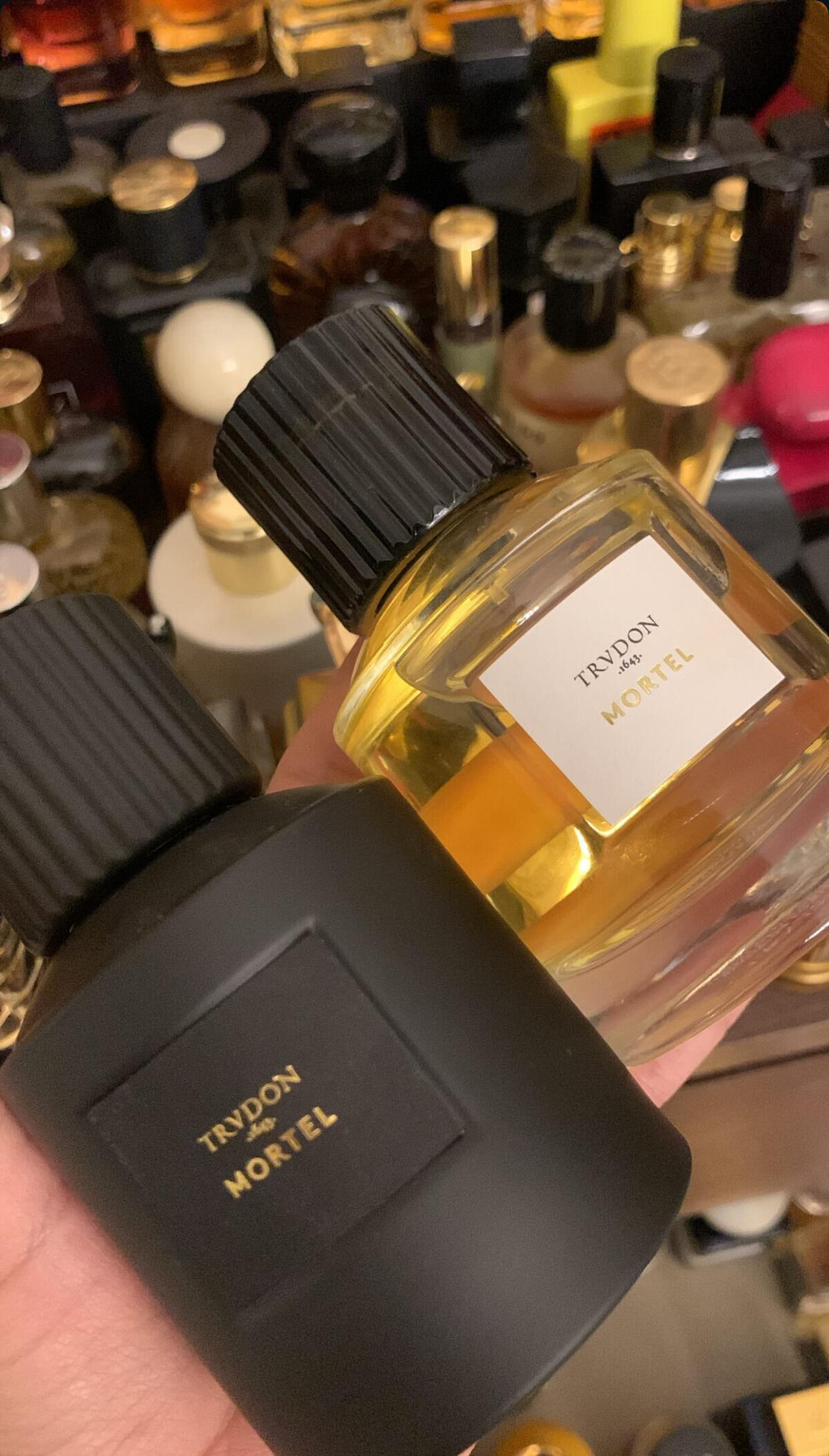 عطر ادکلن مورتل نوآر ترودون - Mortel Noir Trudon - بررسی، قیمت و خرید