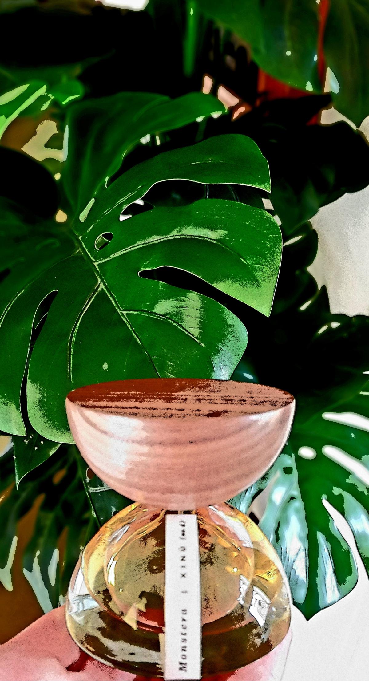 عطر ادکلن مانسترا شینو - Monstera Xinú - بررسی، قیمت و خرید