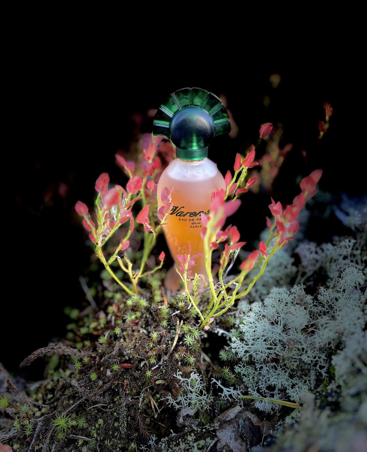 عطر ادکلن وارنسی اولریک دو وارنس - Varensia Ulric de Varens - بررسی، قیمت و خرید