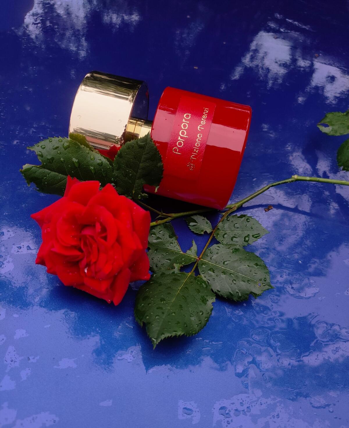 عطر ادکلن پورپورا تیزیانا ترنزی - Porpora Tiziana Terenzi - بررسی، قیمت و خرید
