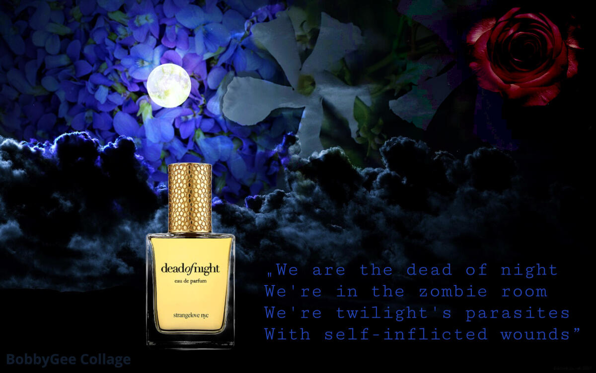 عطر ادکلن دد آو نایت استرینجلَو نیویورک - Dead of Night Strangelove NYC - بررسی، قیمت و خرید