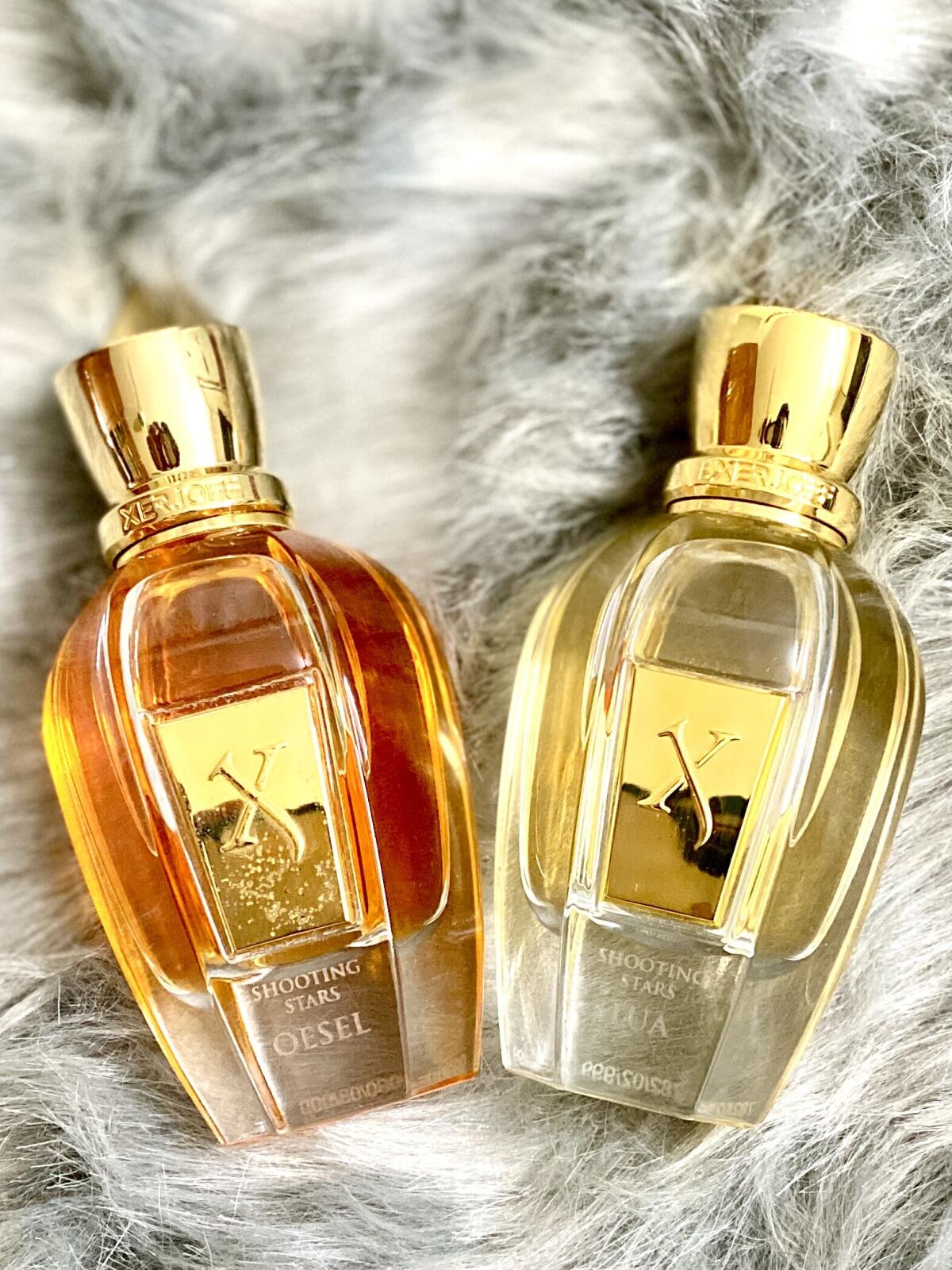 عطر ادکلن اوزل زرژاف - Oesel Xerjoff - بررسی، قیمت و خرید