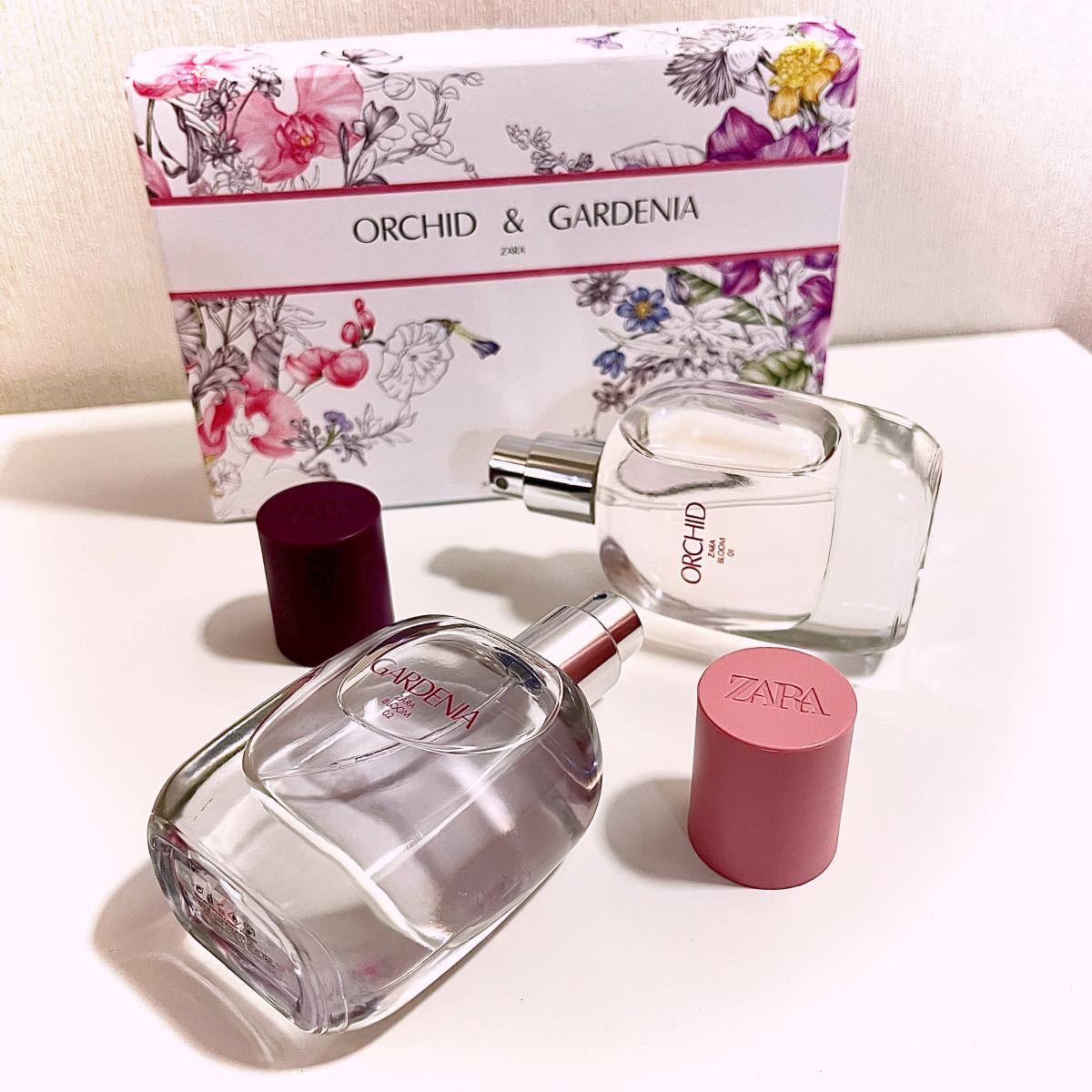 عطر ادکلن ارکید ۲۰۱۹ زارا - Orchid 2019 Zara - بررسی، قیمت و خرید