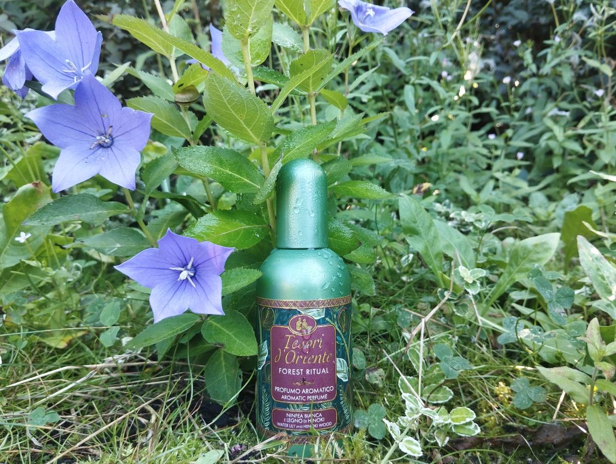 عطر ادکلن فورست ریتوال تسوری دورینته - Forest Ritual Tesori d'Oriente - بررسی، قیمت و خرید