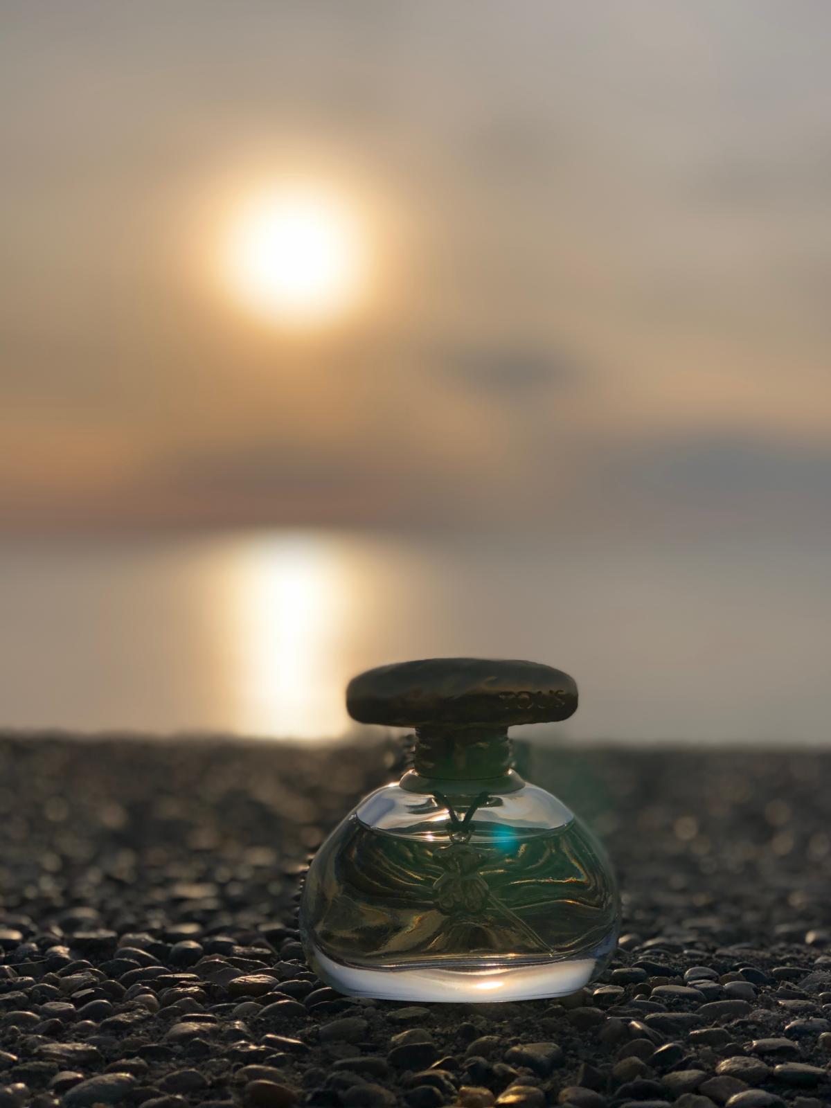 عطر ادکلن تاچ توس - Touch Tous - بررسی، قیمت و خرید