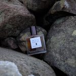 عطر ادکلن د بلک نایت فرانچسکا بیانکی - The Black Knight Francesca Bianchi - بررسی، قیمت و خرید