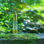 عطر ادکلن میس دیور دیور - Miss Dior Dior - بررسی، قیمت و خرید