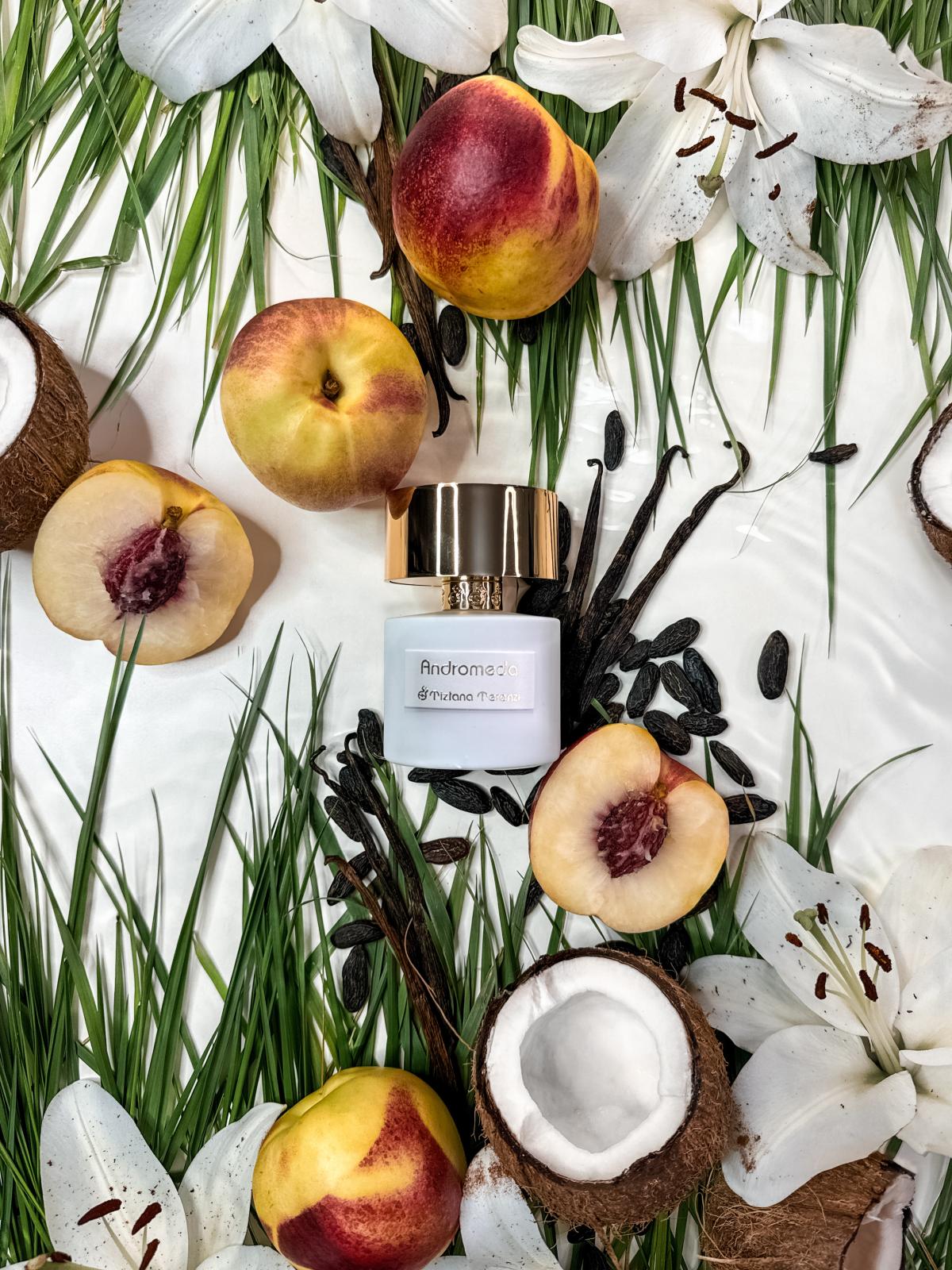 عطر ادکلن آندرومدا تیزیانا ترنزی - Andromeda Tiziana Terenzi - بررسی، قیمت و خرید