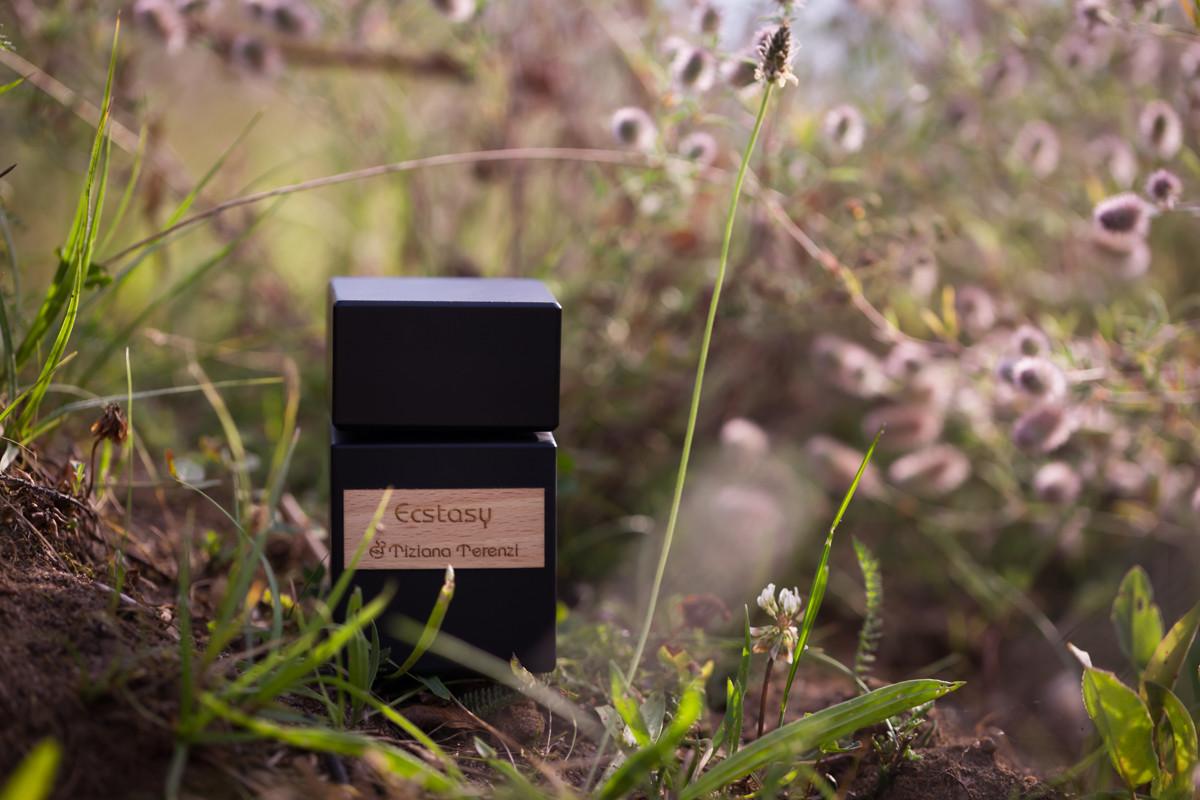 عطر ادکلن اکستسی تیزیانا ترنزی - Ecstasy Tiziana Terenzi - بررسی، قیمت و خرید