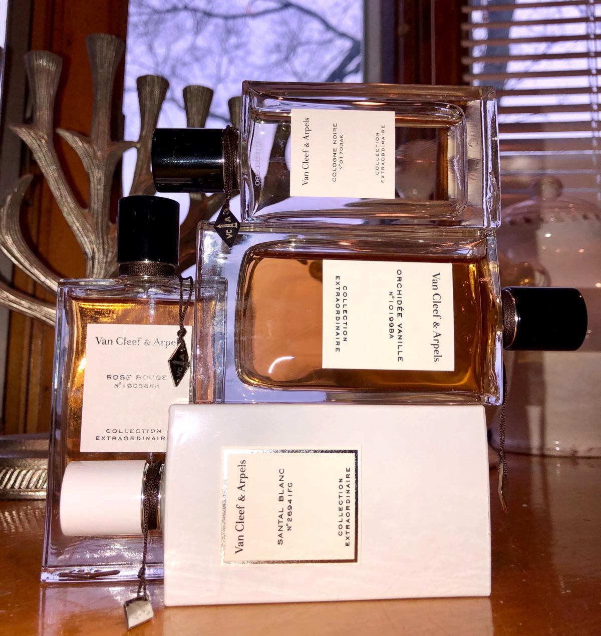 عطر ادکلن کلن نویر ون کلیف اند آرپلز - Cologne Noire Van Cleef & Arpels - بررسی، قیمت و خرید