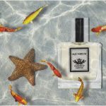عطر ادکلن آکواریوم دارک بیت پرفیومز - Aquarium Darkbeat Parfums - بررسی، قیمت و خرید