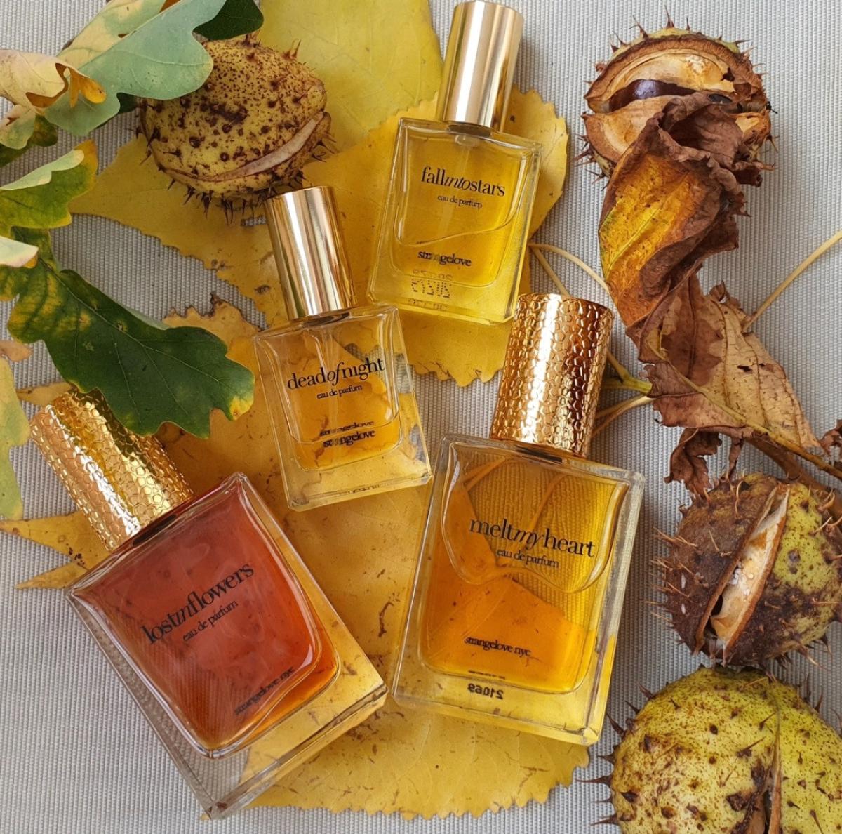 عطر ادکلن دد آو نایت استرینجلَو نیویورک - Dead of Night Strangelove NYC - بررسی، قیمت و خرید