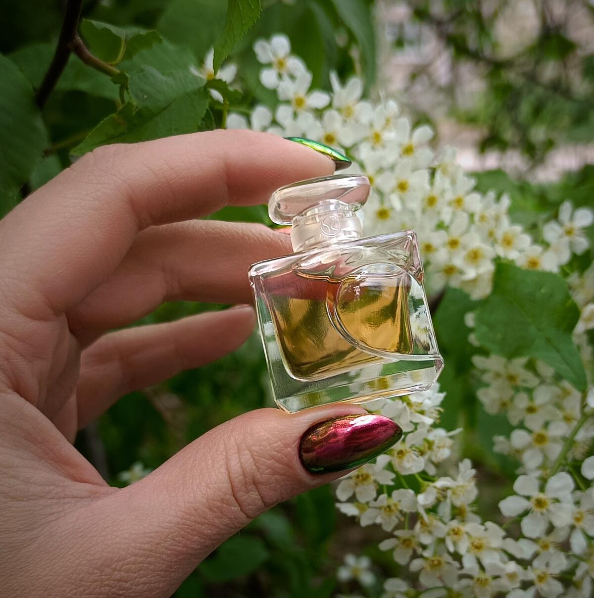 عطر ادکلن کلک نوت دامور ایوروشه - Quelques Notes d’Amour Yves Rocher - بررسی، قیمت و خرید