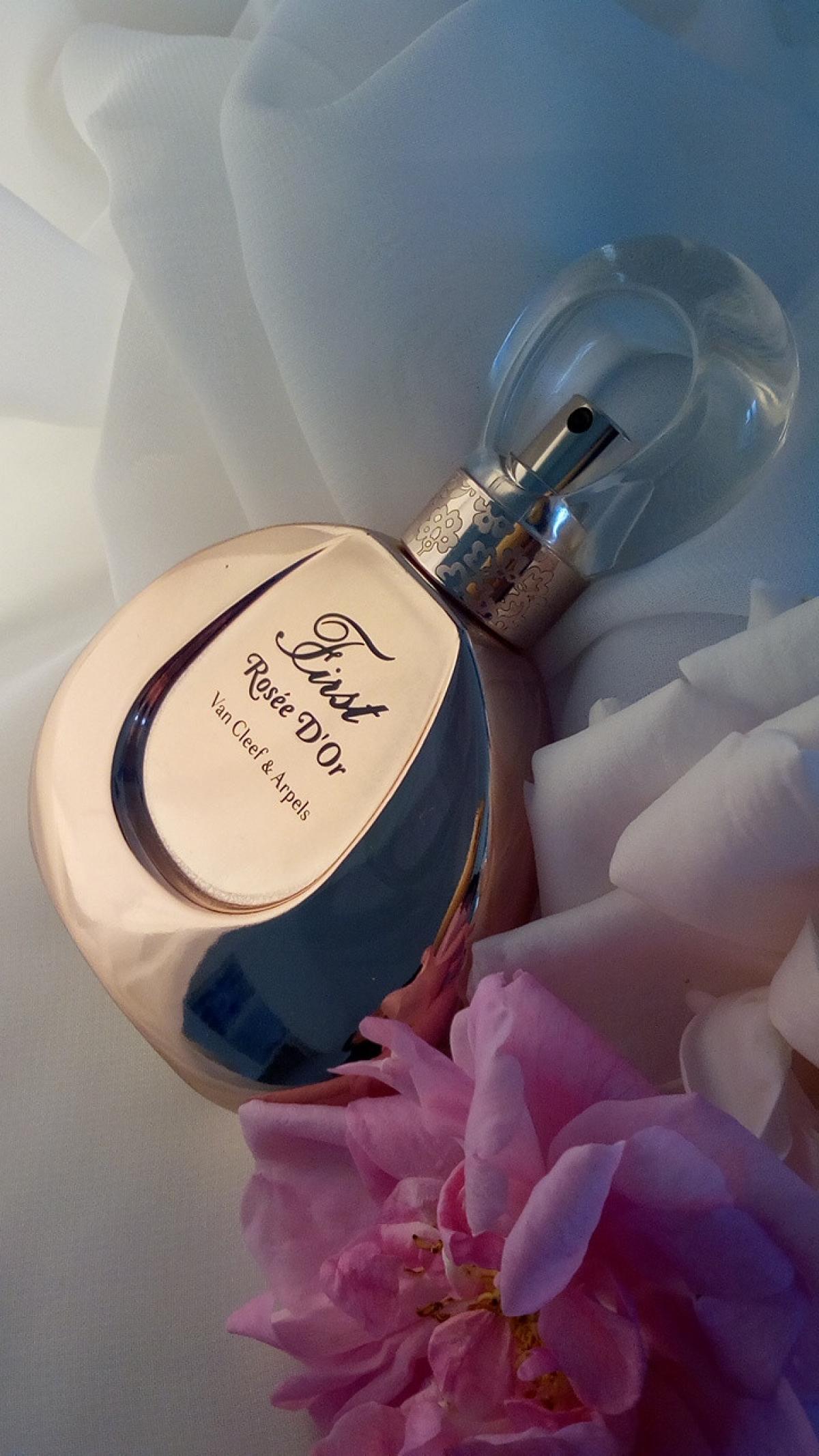 عطر ادکلن فرست رز دور ون کلیف اند آرپلز - First Rosée D'Or Van Cleef & Arpels - بررسی، قیمت و خرید
