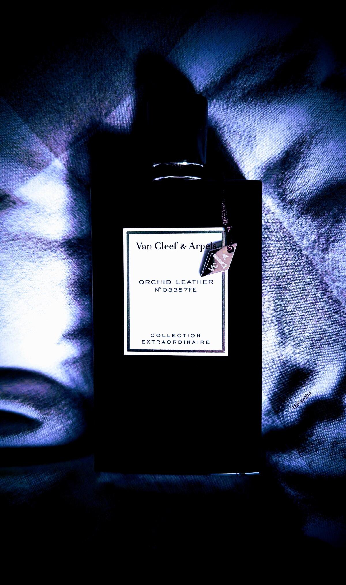 عطر ادکلن ارکید لدر ون کلیف اند آرپلز - Orchid Leather Van Cleef & Arpels - بررسی، قیمت و خرید