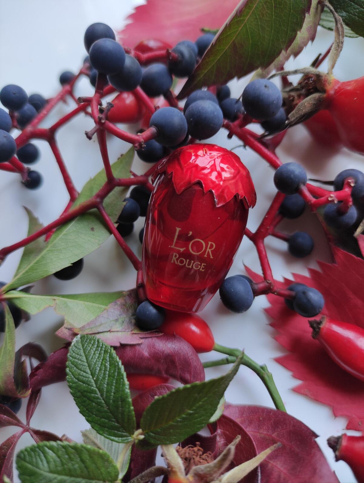 عطر ادکلن لور روژ تورنت - L'Or Rouge Torrente - بررسی، قیمت و خرید