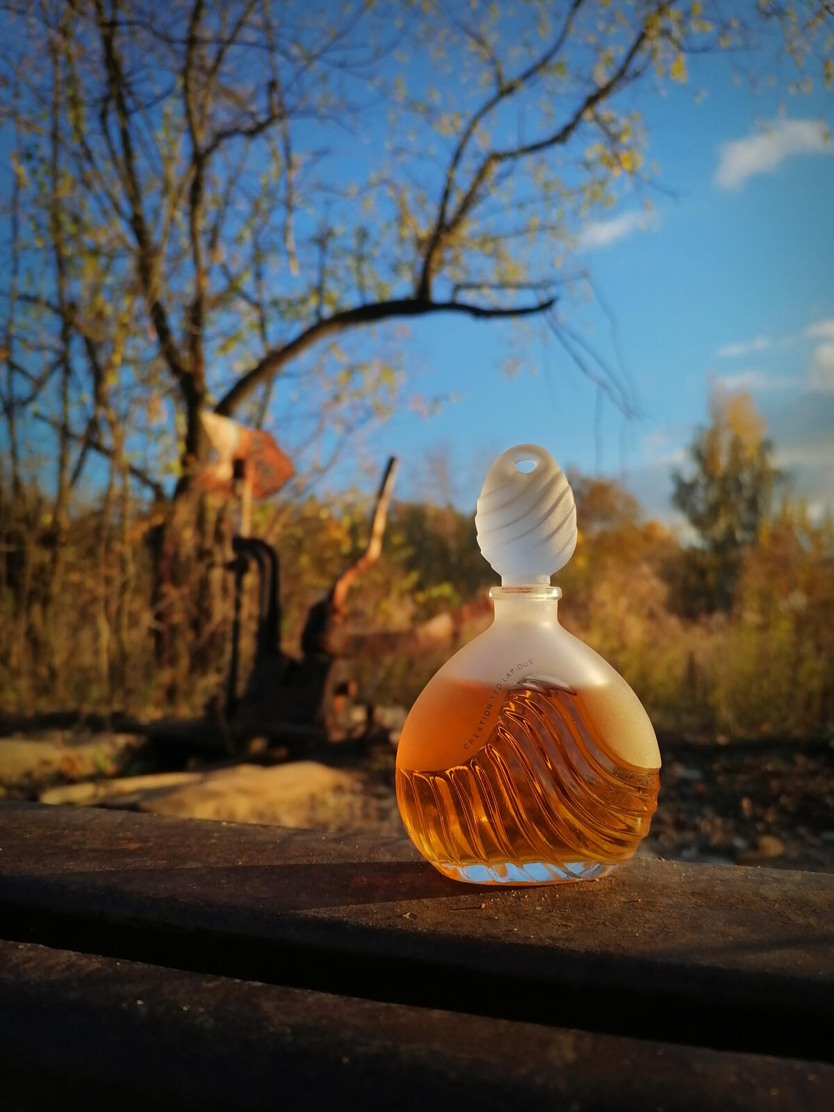 عطر ادکلن کریشِن 1984 تد لاپیدوس - Creation 1984 Ted Lapidus - بررسی، قیمت و خرید