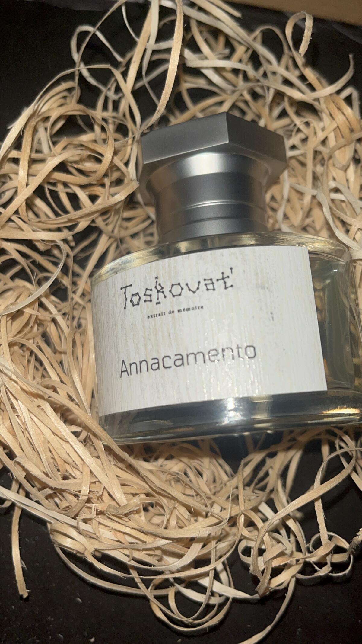 عطر ادکلن آناکامنتو توسکوات - Annacamento Toskovat' - بررسی، قیمت و خرید