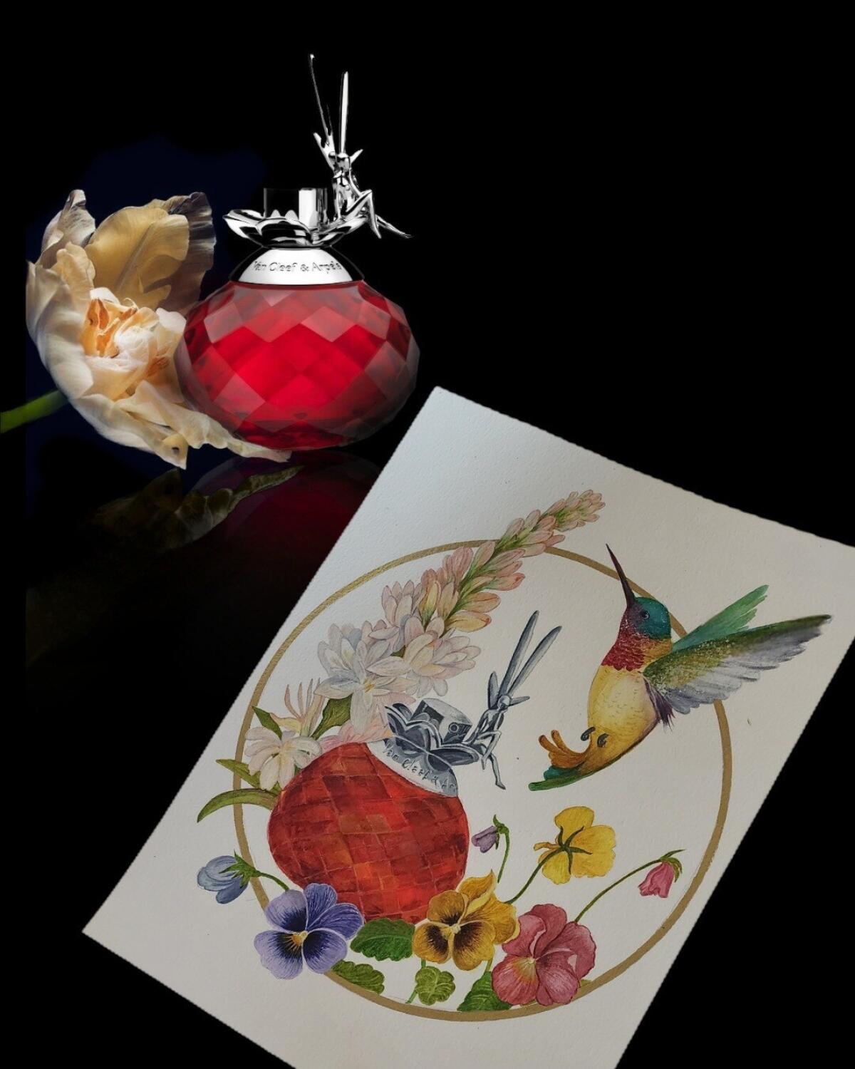 عطر ادکلن فری روبیس ون کلیف اند آرپلس - Feerie Rubis Van Cleef & Arpels - بررسی، قیمت و خرید
