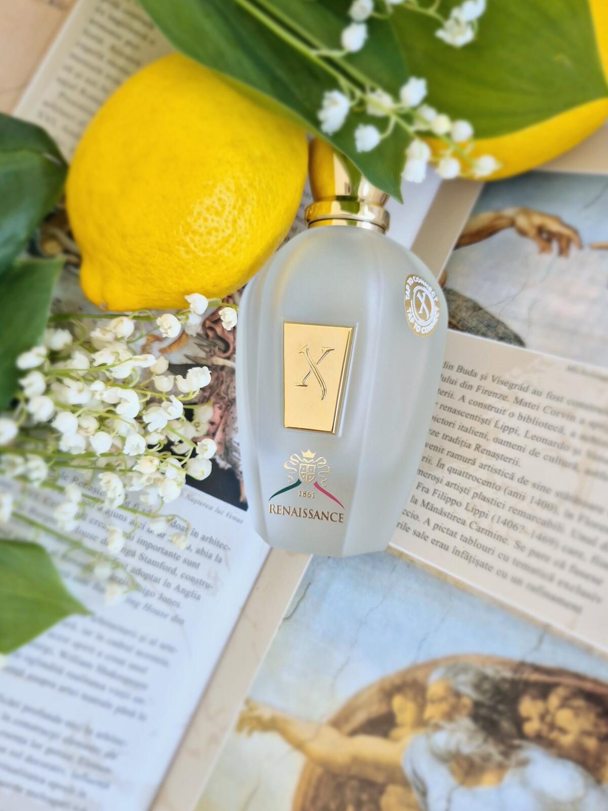 عطر ادکلن ایکس جی ۱۸۶۱ رنسانس زرژاف - XJ 1861 Renaissance Xerjoff - بررسی، قیمت و خرید