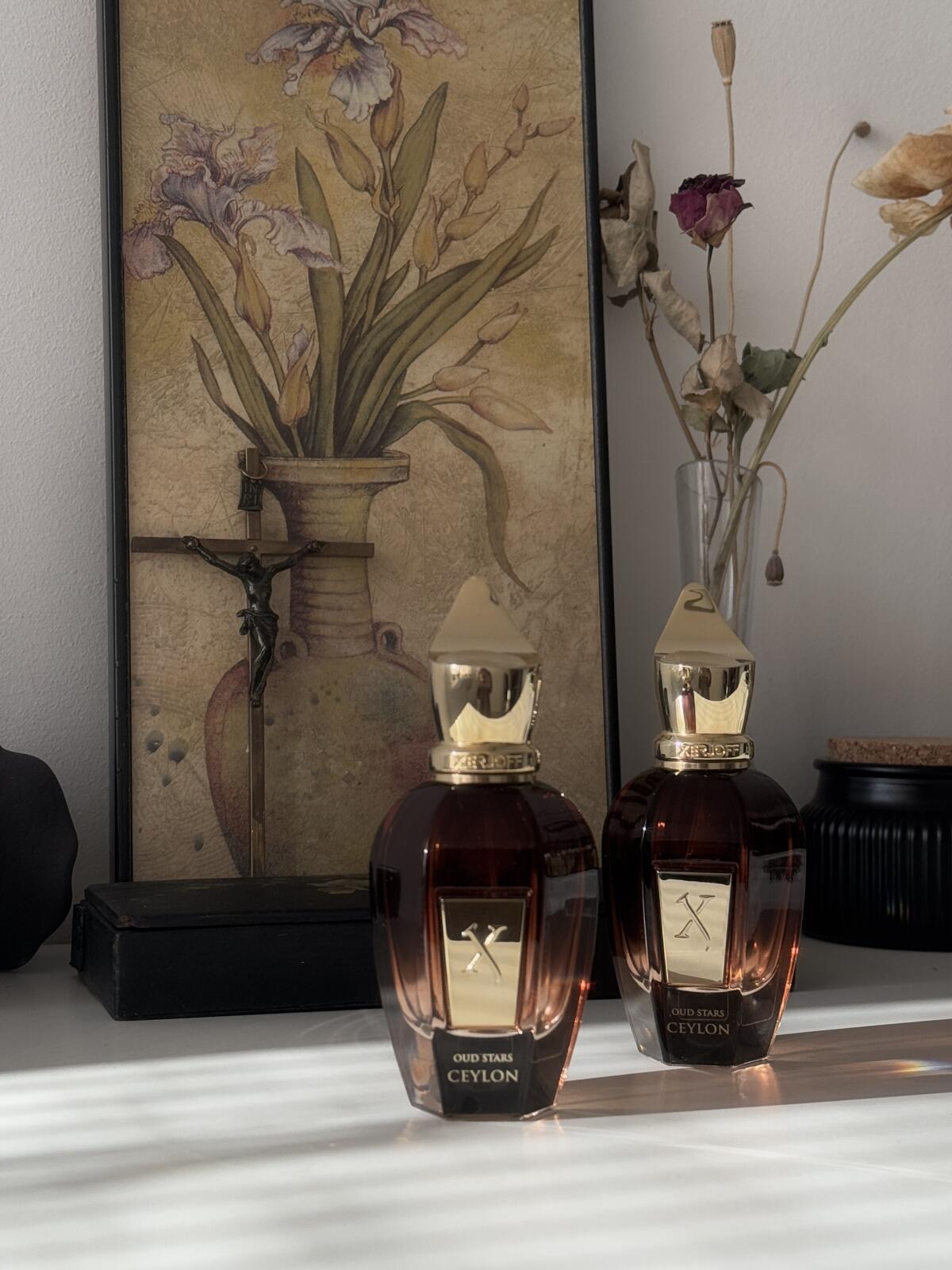 عطر ادکلن سیلان زرژوف - Ceylon Xerjoff - بررسی، قیمت و خرید