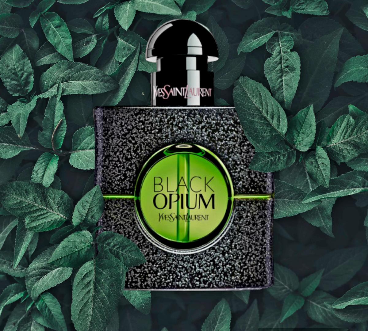 عطر ادکلن بلک اوپیوم ایلیسیت گرین ایو سن لورن - Black Opium Illicit Green Yves Saint Laurent - بررسی، قیمت و خرید