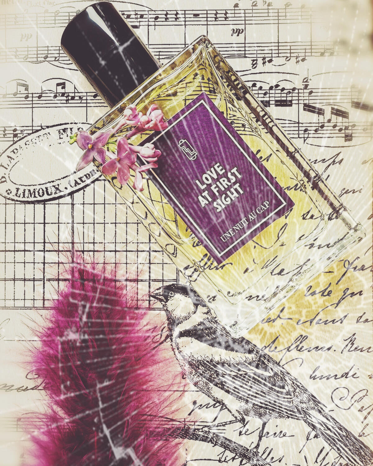 عطر ادکلن لاو ات فرست سایت اون نوییت نومَد - Love At First Sight Une Nuit Nomade - بررسی، قیمت و خرید