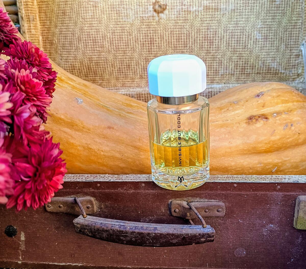 عطر ادکلن اینویزیبل بات کول رامون مونيگال - Invisible But Cool Ramon Monegal - بررسی، قیمت و خرید