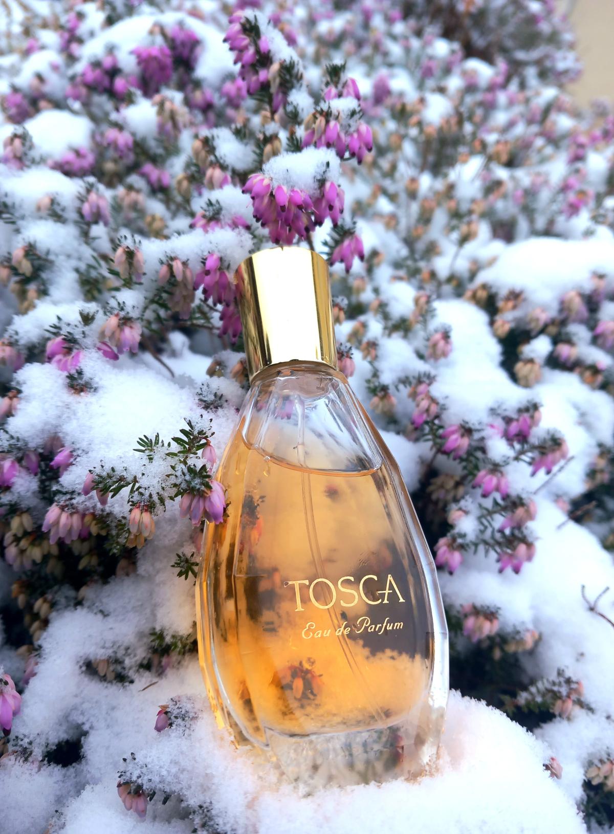 عطر ادکلن توسکا توسکا - Tosca Tosca - بررسی، قیمت و خرید