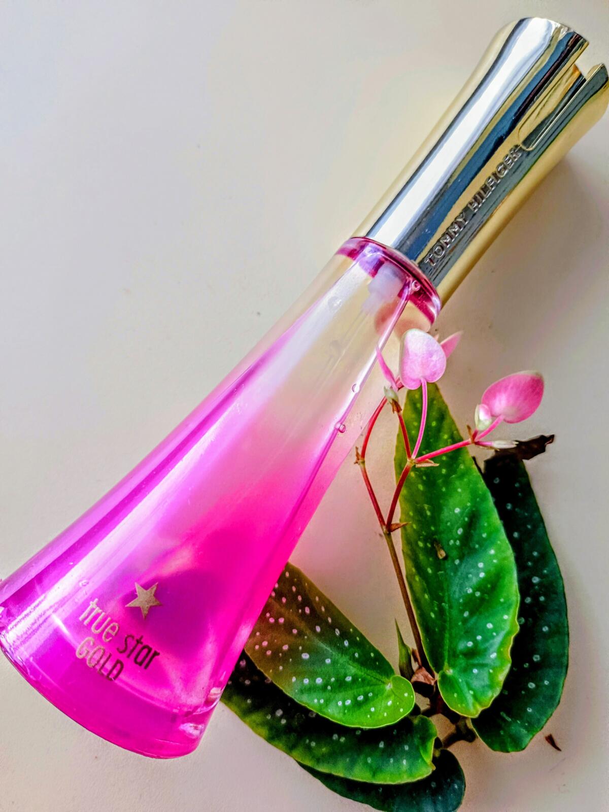 عطر ادکلن طرو استار گلد تامی هیلفیگر - True Star Gold Tommy Hilfiger - بررسی، قیمت و خرید