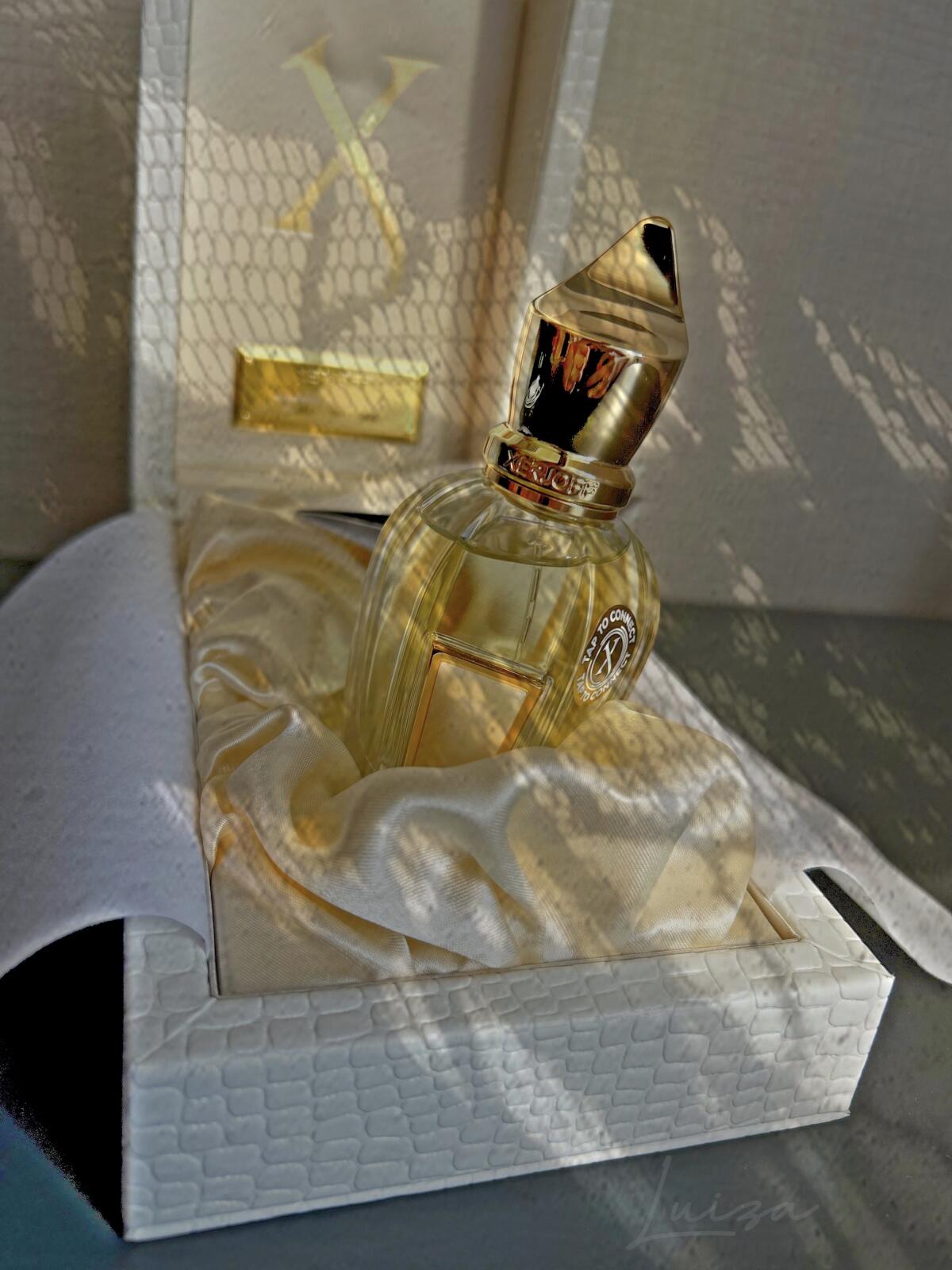 عطر ادکلن ال زرجوف - Elle Xerjoff - بررسی، قیمت و خرید