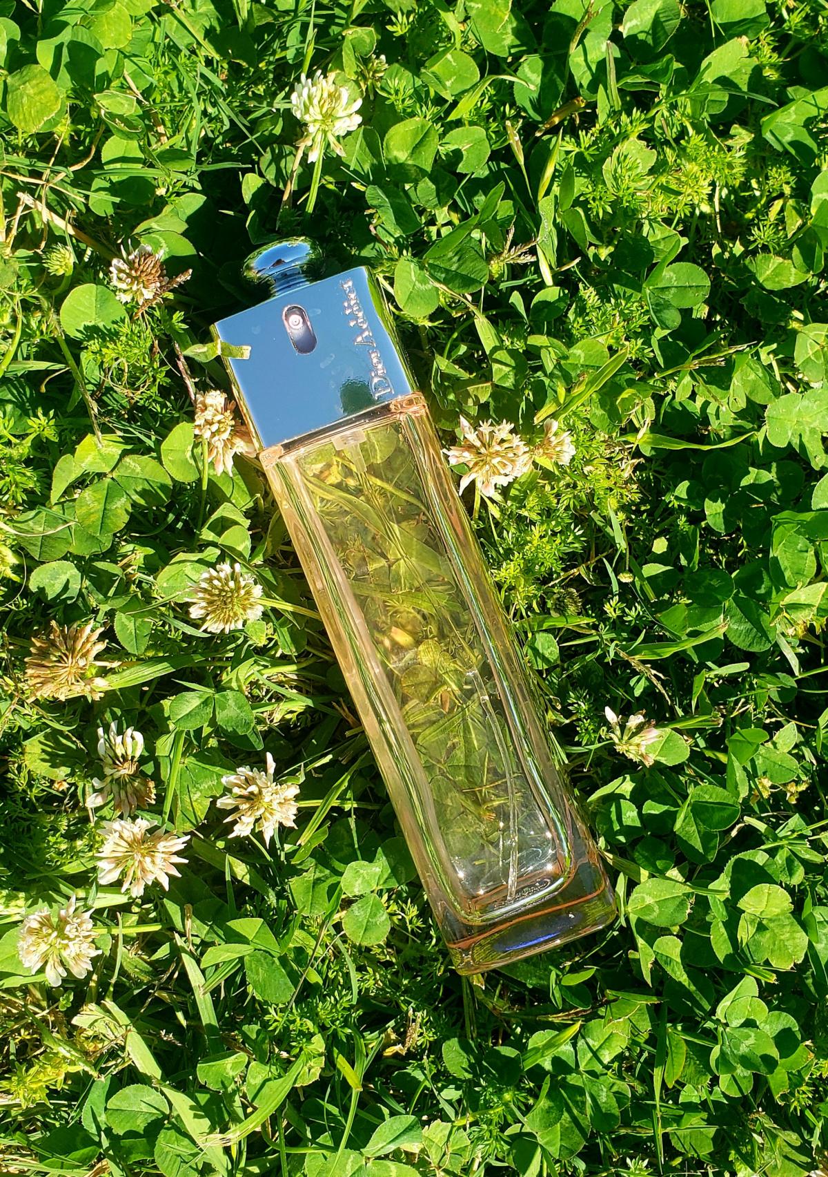 عطر ادکلن دیور ادیکت شاین دیور - Dior Addict Shine Dior - بررسی، قیمت و خرید