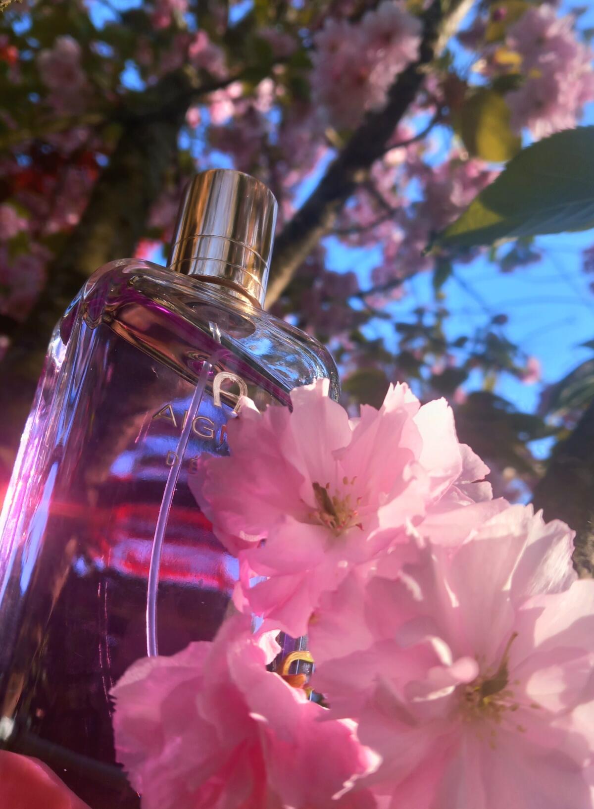 عطر ادکلن دِبیو اِتین آینگر - Debut Etienne Aigner - بررسی، قیمت و خرید