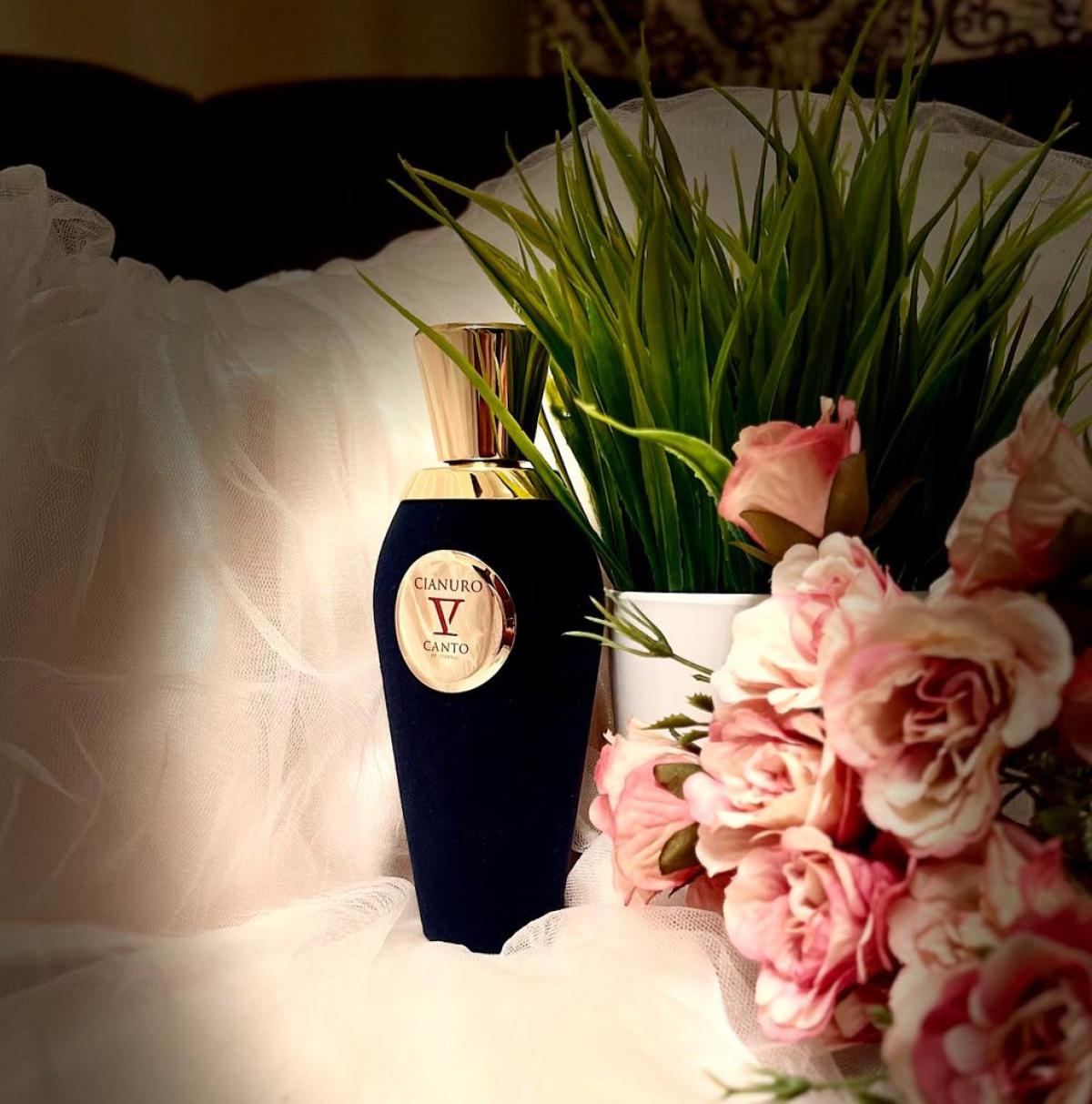 عطر ادکلن سیانورو وی کانتو - Cianuro V Canto - بررسی، قیمت و خرید