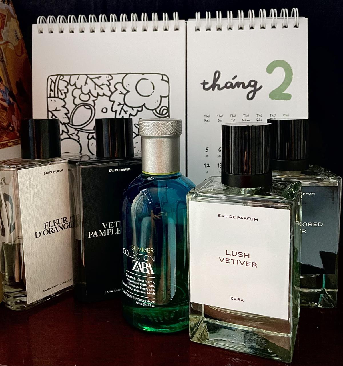 عطر ادکلن لاش وتیور زارا - Lush Vetiver Zara - بررسی، قیمت و خرید