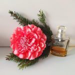 عطر ادکلن دیورلا دیور - Diorella Dior - بررسی، قیمت و خرید