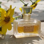 عطر ادکلن میس دیور دیور - Miss Dior Dior - بررسی، قیمت و خرید