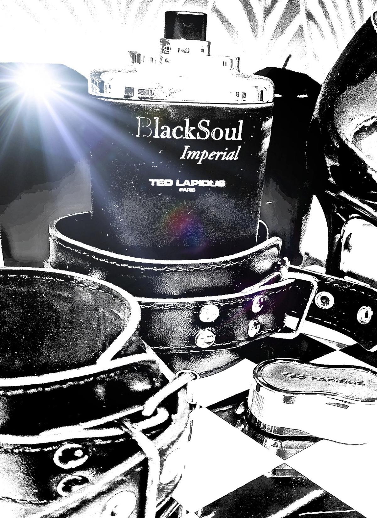عطر ادکلن بلک سول ایمپریال تد لاپیدوس - Black Soul Imperial Ted Lapidus - بررسی، قیمت و خرید