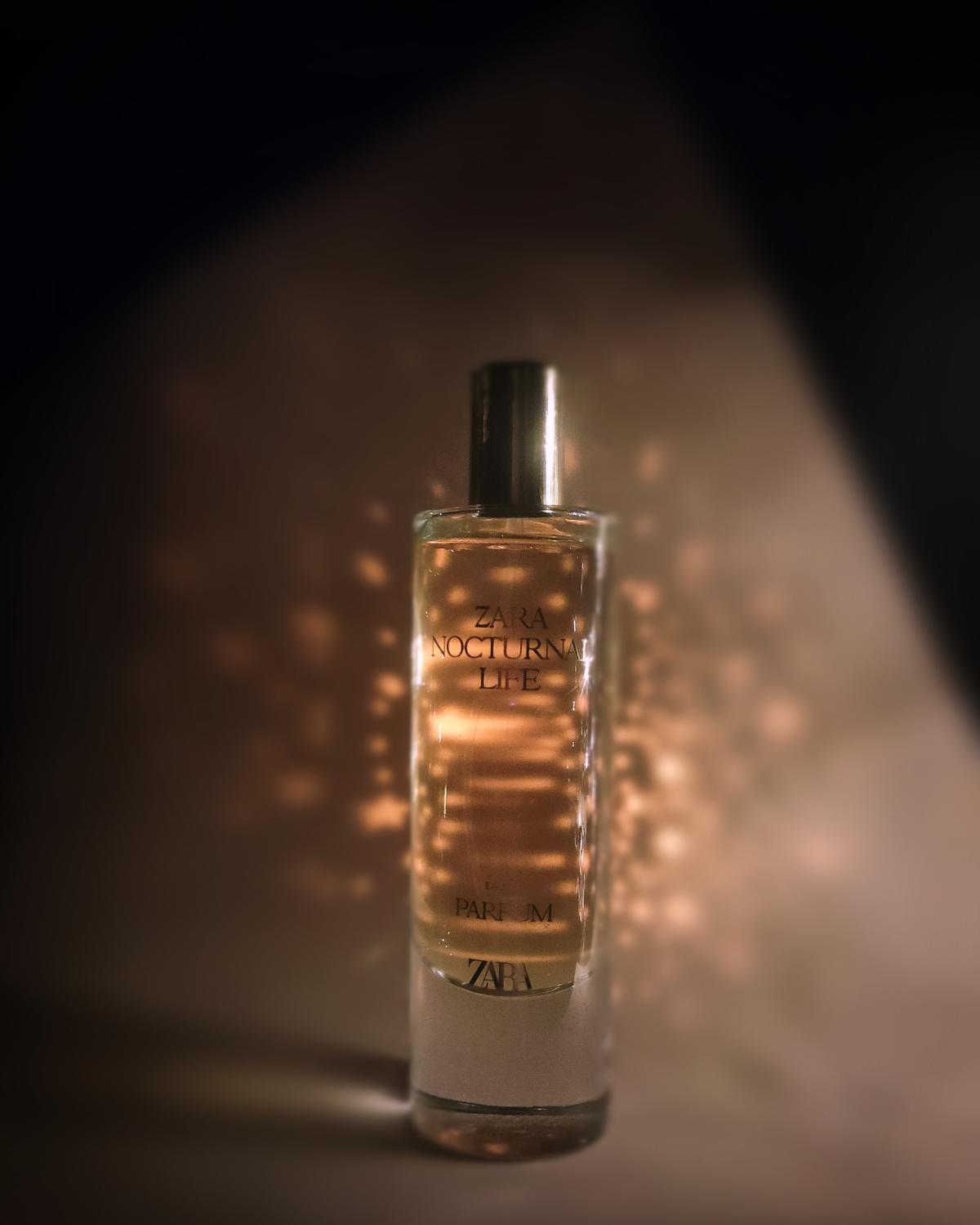 عطر ادکلن ناکترنال لایف زارا - Nocturnal Life Zara - بررسی، قیمت و خرید