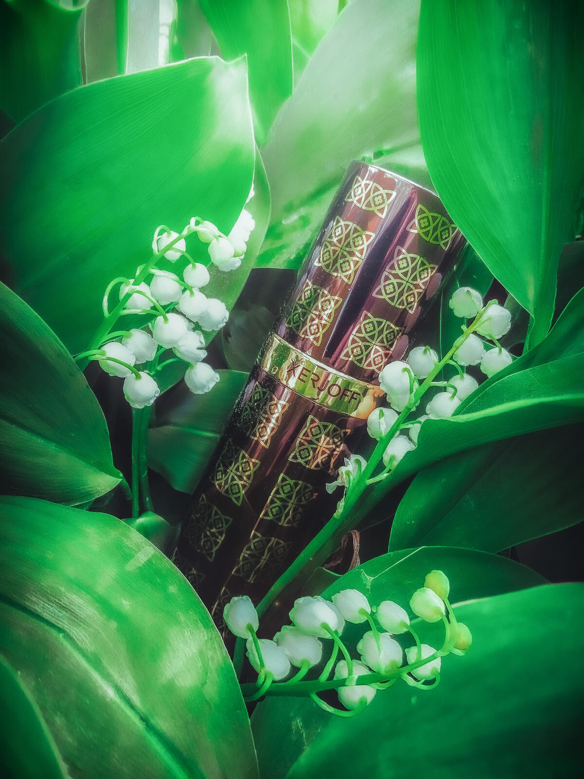 عطر ادکلن الکساندریا دو زرجوف - Alexandria II Xerjoff - بررسی، قیمت و خرید