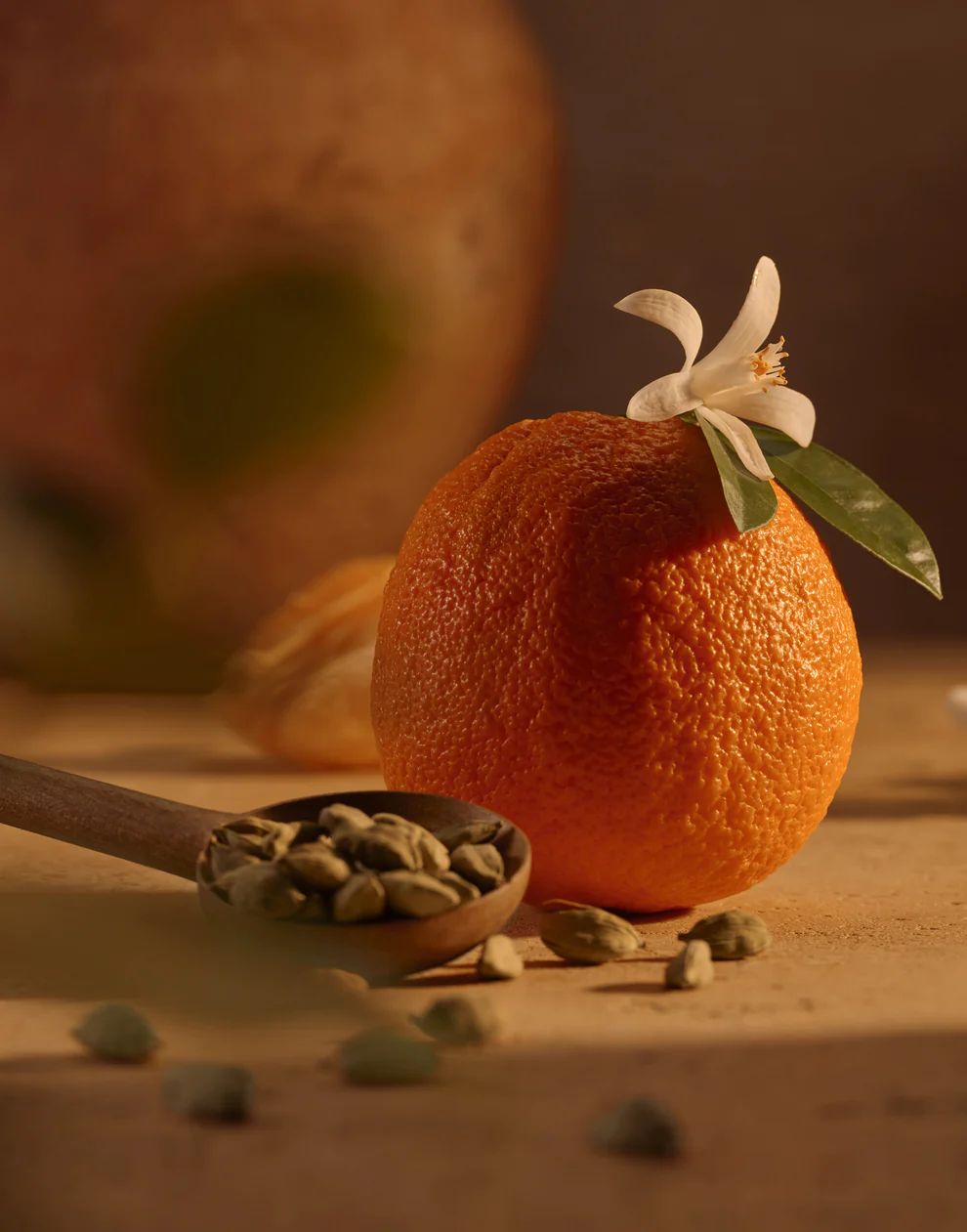 عطر ادکلن نرولی برونزه ویند - Néroli Bronzé Whind - بررسی، قیمت و خرید